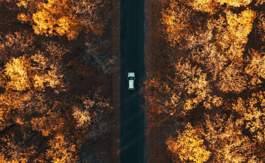 Mobile EHS Solutions Blog Car Driving Photo Cority