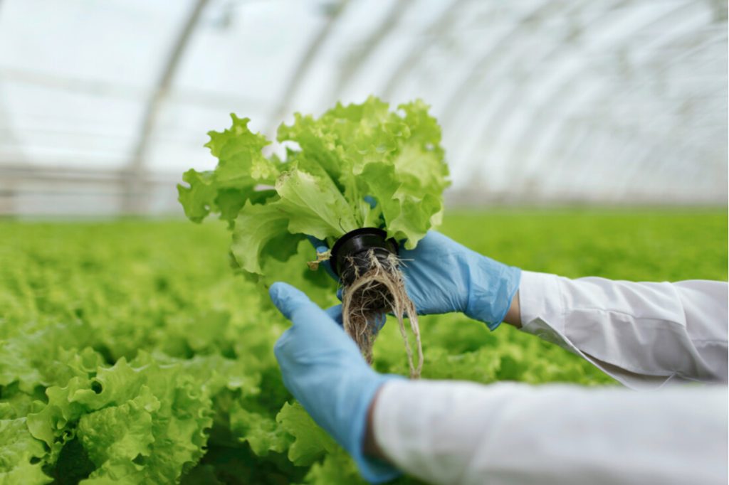 Sustainability Software