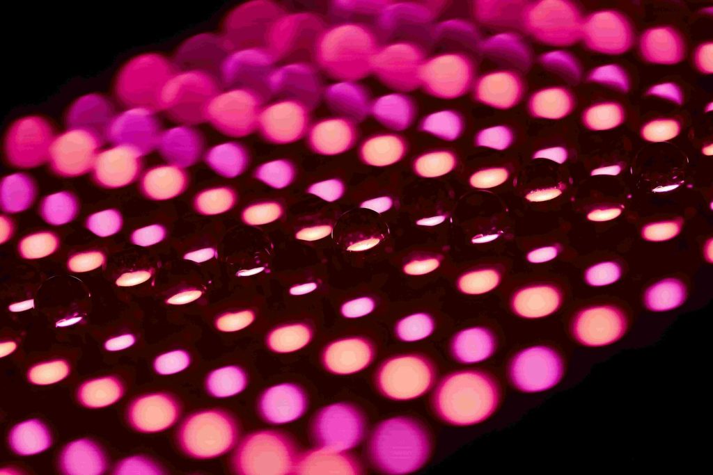 CDP reporting 2022 pink lights bubbles cority