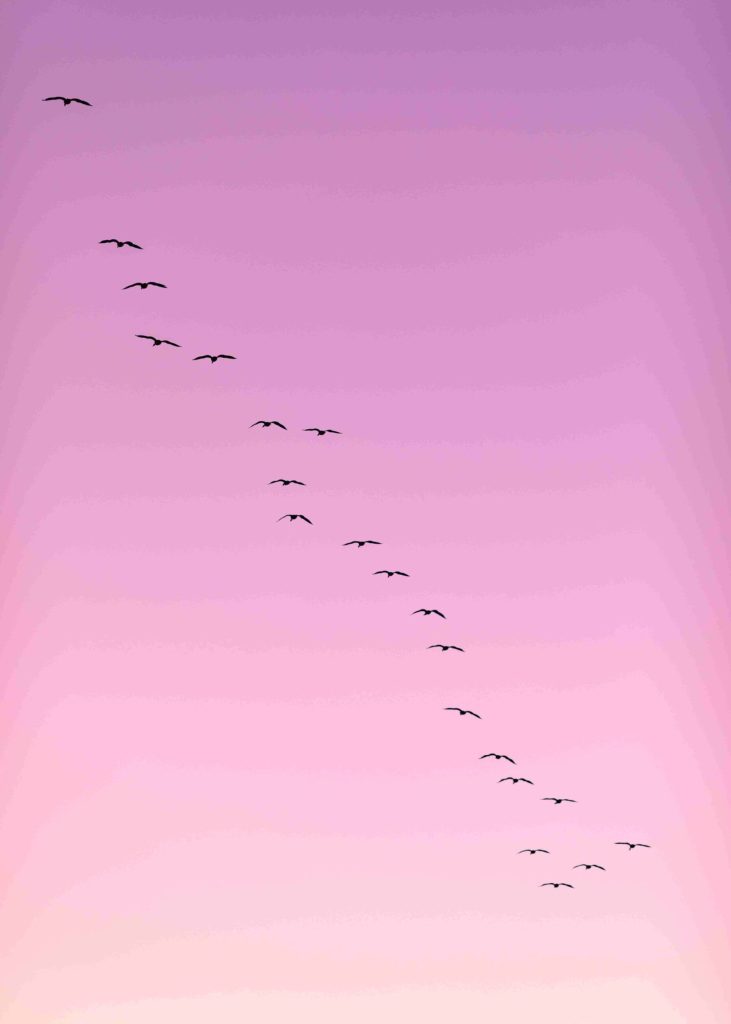 sec proposed rules blog sky birds pink cority