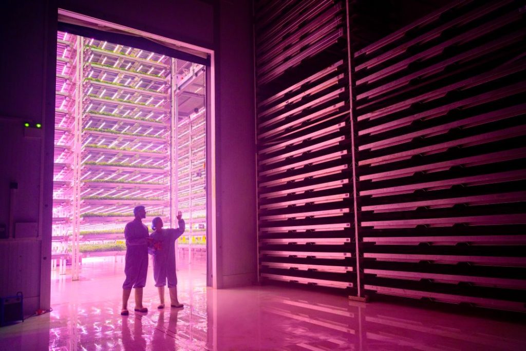managing esg risks blog database pink cority